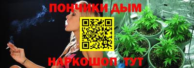 бошки Камышлов