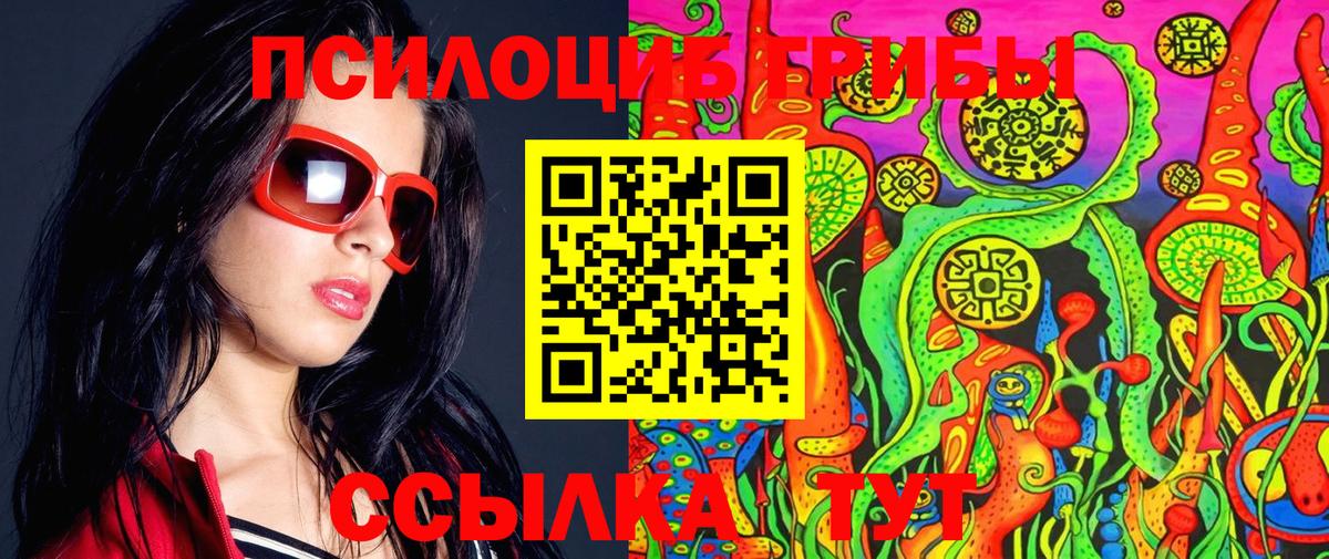 Галлюциногенные грибы Psilocybine cubensis Изобильный